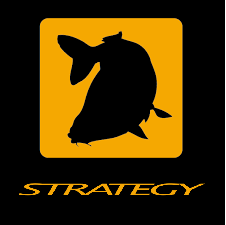 Strategy