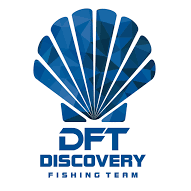 DFT Discovery