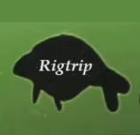 Rigtrip