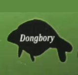 Dongbory