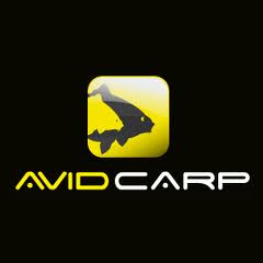 Avid Carp