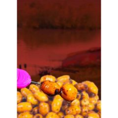 Dynamite Baits Frenzied Jumbo Tiger Nuts Boosted Hookbaits 500ml
