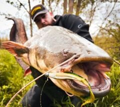 SPRO Iris Shocktail 20Cm Silikon Yem Redhead