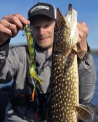SPRO Iris Shocktail 20Cm Silikon Yem Redhead