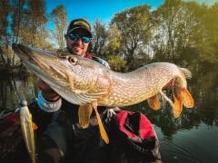 SPRO Iris Shocktail 20Cm Silikon Yem Redhead