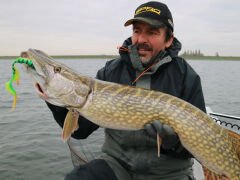 SPRO Iris Shocktail 20Cm Silikon Yem Redhead