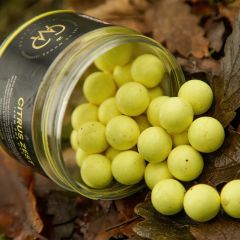 CC Moore Elite Range 14 mm Citrus Zest Pop Up