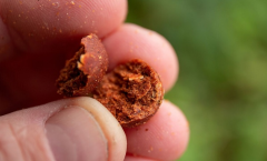 Dynamite Baits Source 20mm 1kg Boilie