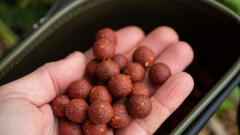 Dynamite Baits Source 20mm 1kg Boilie