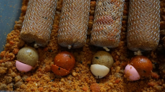 FL PVA Mesh 7mt 25mm PVA Yemleme Filesi