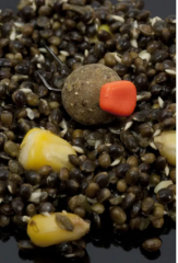 Avid Carp Corn Stops Floating Short Kısa Multi Coloured