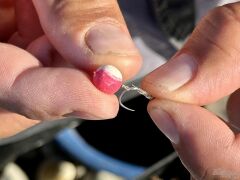 Haldorado 4S Method Pellet Wafter Papaya Mango 6-7-8-9mm Feeder Kanca Yemi