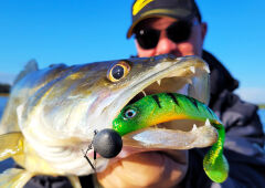 SPRO Ripple Profighter Shad 14cm Yellow Pike Silikon Yem