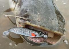 SPRO Ripple Profighter Shad 14cm Firetiger Silikon Yem