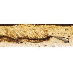 Anaconda Hippie Leadcore Leader 45 Lb 2 Ad. Yosun Kurşunlu Lider