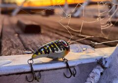 SPRO Fat Irıs Dr Herring 4cm 6,2g SertYem