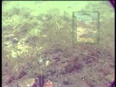 Fox Slider Leads 10 ad. Misina-Takım Yatırma Kurşunu