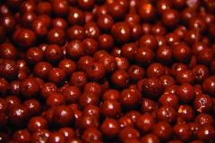 Dynamite Baits Source 26mm Boili 1Kg