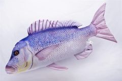 Gaby Sinarit Balığı Yastık 80cm