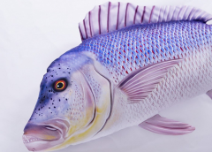 Gaby Sinarit Balığı Yastık 43cm
