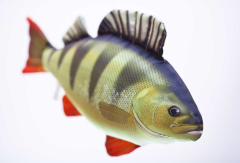 Gaby Tatlı Su Levreği Yastık 50cm