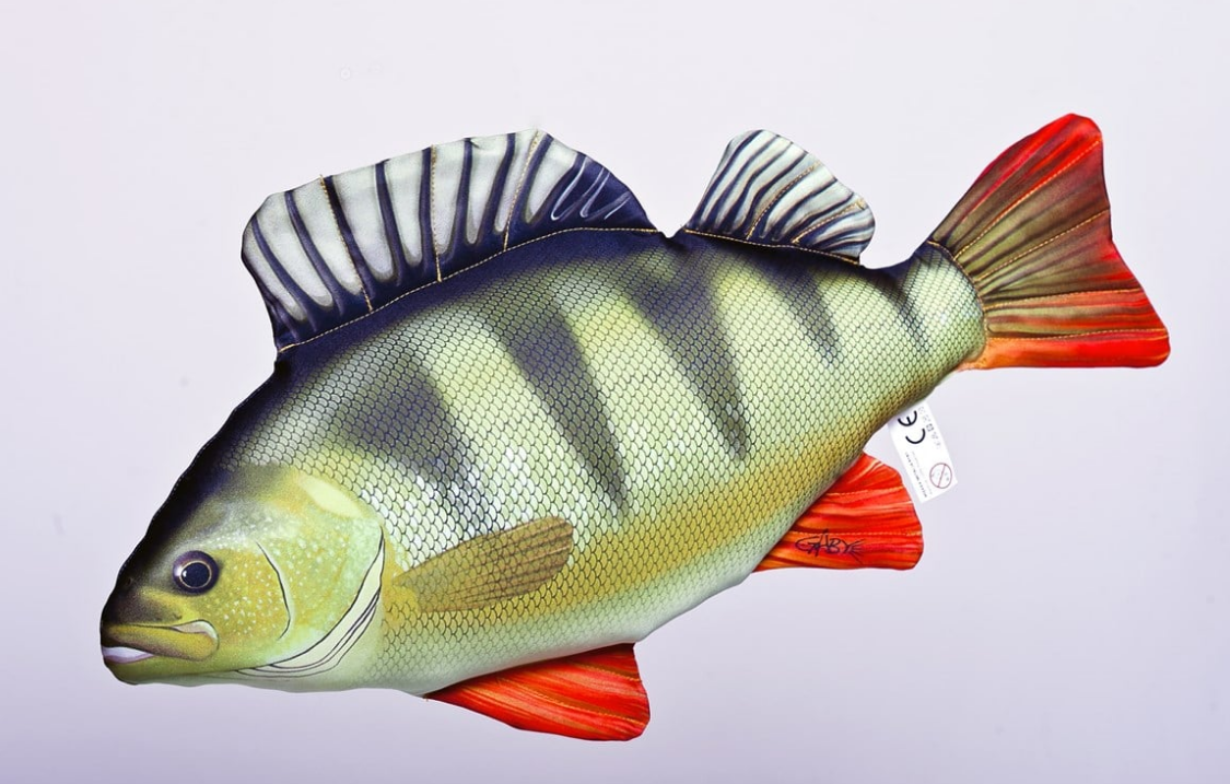 Gaby Tatlı Su Levreği Yastık 50cm