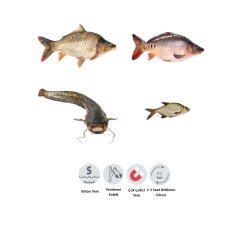 Trofem 4.5 mm Red Premium Halibut Pelet Yem