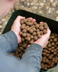Nash Scopex Squid Boilies 24 mm 1 kg