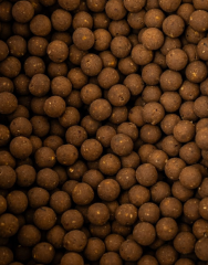 Nash Scopex Squid Boilies 24 mm 1 kg