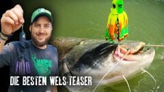 Madcat The Original Clonk Teaser Red 100g