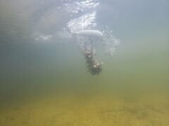 Powerex Yemleme Roketi Large