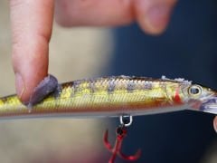 SPRO UV Jel Amino 75ML