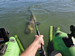 Madcat A-Static Clonk Teaser Glow In The Dark 200g