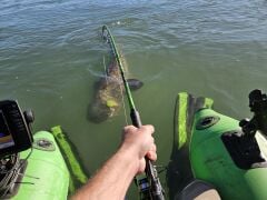 Madcat A-Static Clonk Teaser Fluo Pink UV 200g