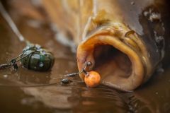 Pole Position Bowgrip Sazan İğnesi