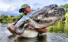 Madcat A-Static Adjustable Clonk Teaser Glow In The Dark 150g