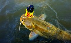 Madcat A-Static Adjustable Clonk Teaser Red 150g