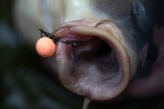 SPRO Pole Position Tungsta Hook Shot M 0,37GR 5X8