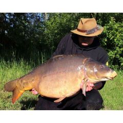 Mivardi Rapid Platinium B17 20mm 0.950g Krill & Karides Boili