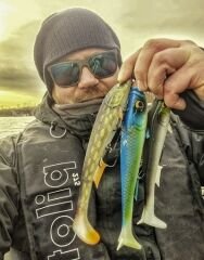 Quantum Tarp Shad 22cm 76g Natural Gun