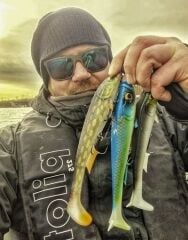 Quantum Tarp Shad 22cm 76g Real Perch