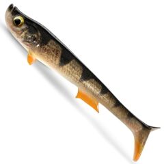 Quantum Tarp Shad 22cm 76g Real Perch