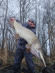 Berkley Powerbait Nessie 17cm Perch