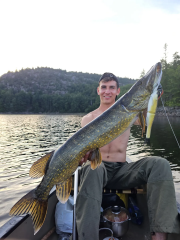 Berkley Powerbait Nessie 17cm Perch