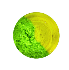 Spro TM Pro Paste Garlic Sarımsak Fluo Sarı-Yeşil 60 g Alabalık Hamuru