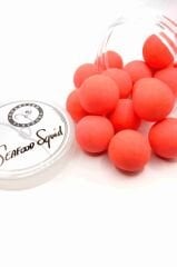 Forgotten Flavours Seafood Squid 24mm Pop-Ups