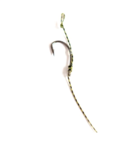 Smax Hair Rigs