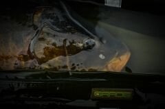 Grade D-Lux Carry All L Sazancı Çantası