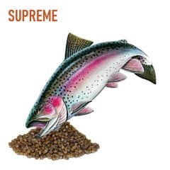 Trofem 3 mm Supreme Alabalık Pelet Yem