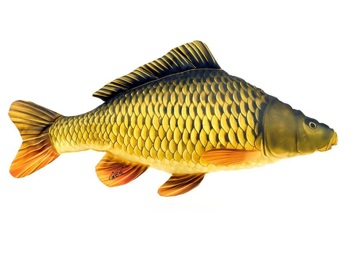 Gaby Fish Peluş Sazan 35cm